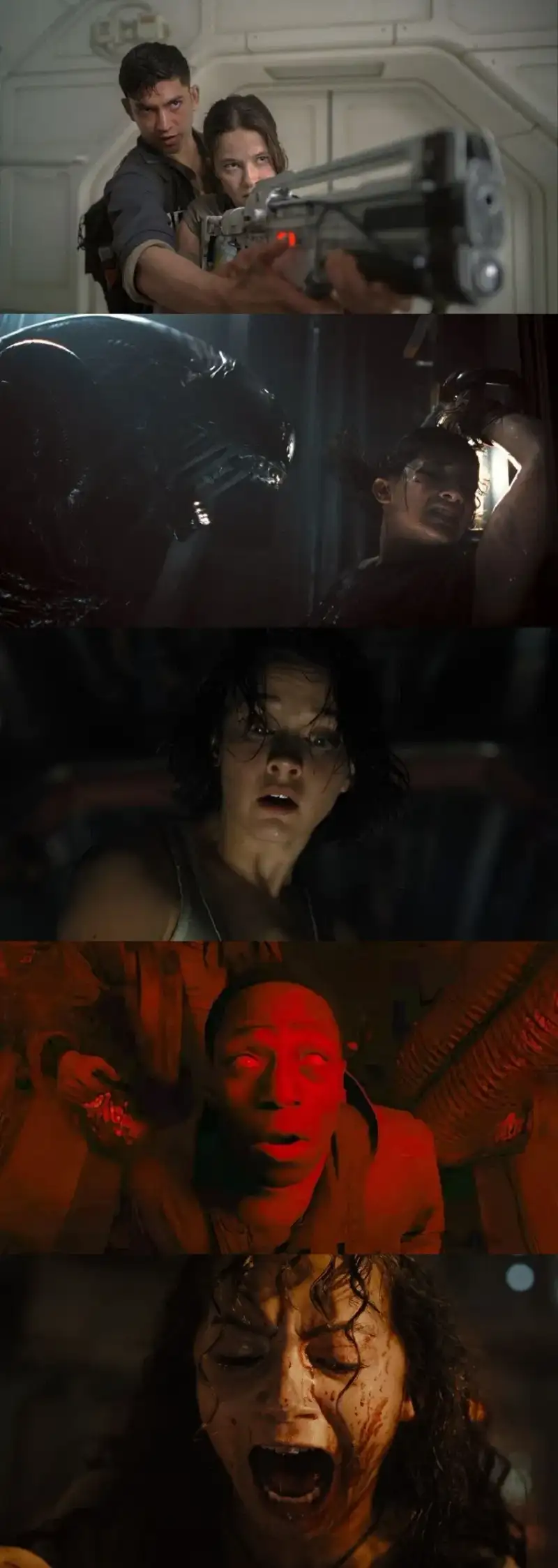 alien: , romulus , 2024 , dsnp , ddp , 5.1 , – , ddp , 5.1