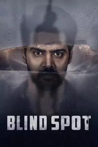 blind , spot , 2025 , dd5.1 , multi-audio , web-dl , full , movie