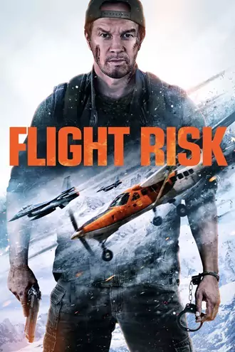 flight , risk , 2025 , hindi-english , dual , audio , blu-ray , full , movie