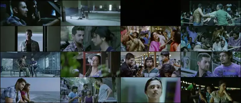 lafangey , parindey | , 2010