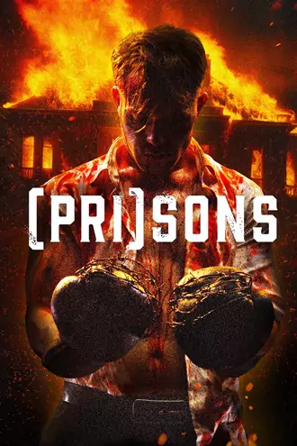 (pri)sons , 2024 , hindi-english , dual , audio , full , movie
