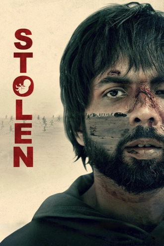 stolen , 2025 , hindi-dd5.1 , amazon , prime , web-dl , full , movie , 2160p , 4k