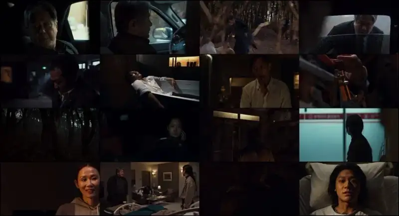 exhuma , 2024 , hindi-english-korean , multi-audio