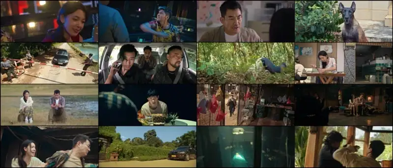 fierce , cop , 2022 , hindi-chinese