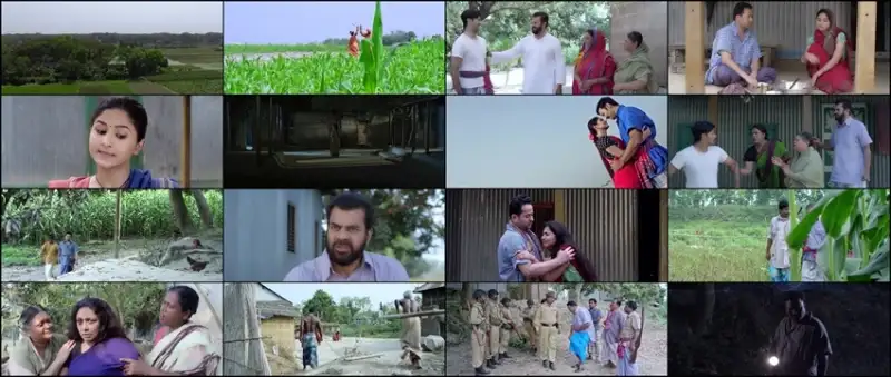 firey , dekha , 2023 , bengali