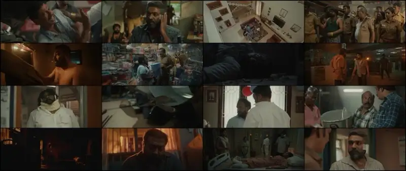 maharaja , 2024 , dubbed
