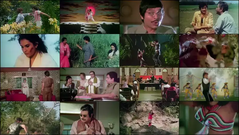 qaidi | , 1984