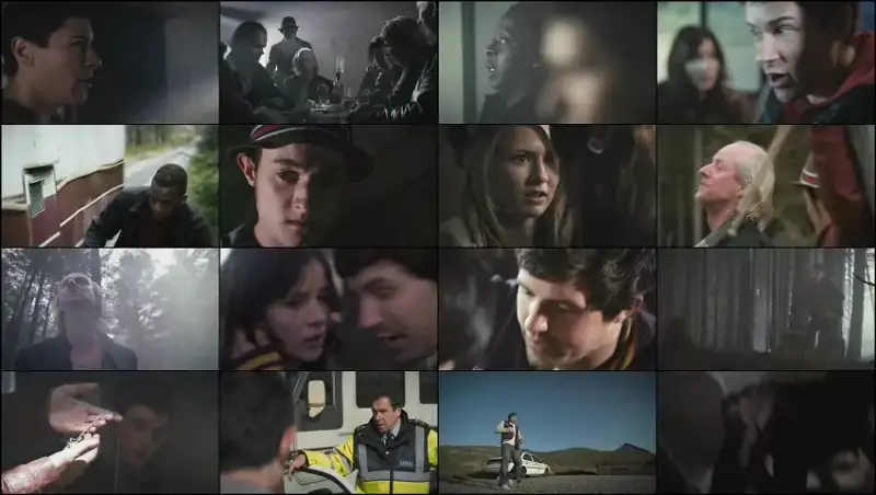 roadkill , 2011 , hindi-english