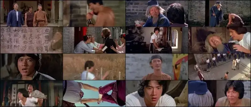 snake , in , the , eagles , shadow , 1978 , hindi-chinese
