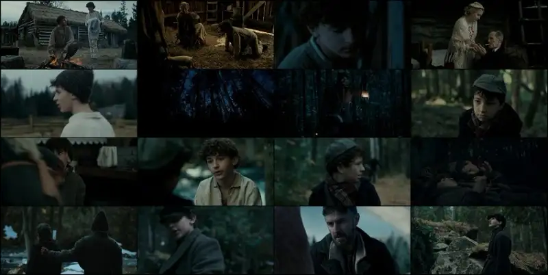 the , boy , in , the , woods | , 2023