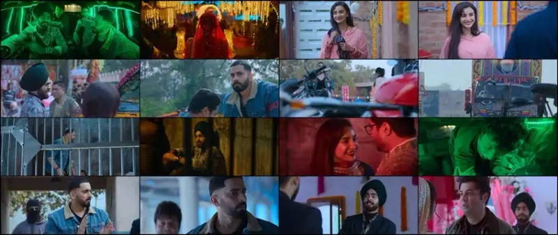 wild , wild , punjab , 2024 , dubbed