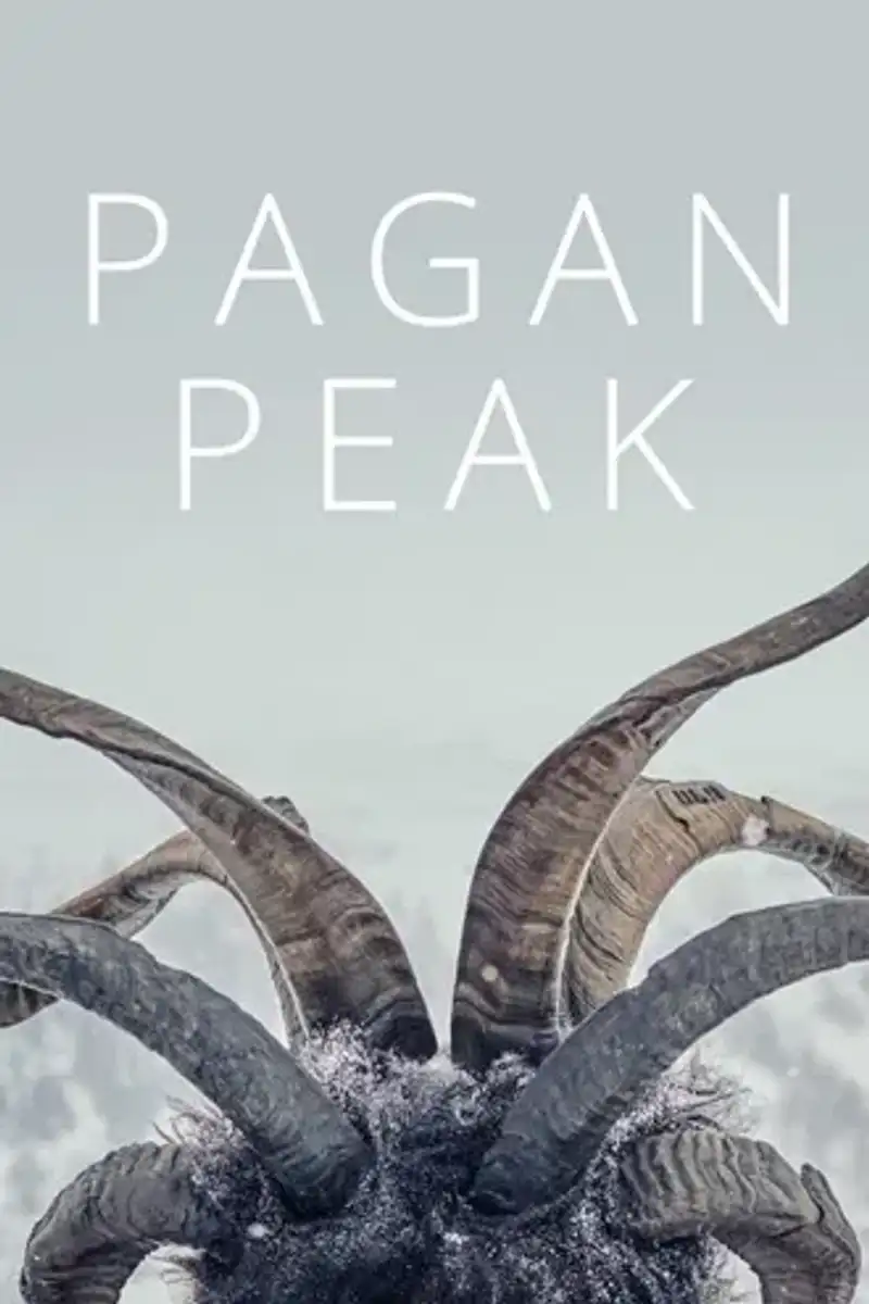 Download Der Pass | 2022 | Season 1-2 | Hindi | Netflix Original WEB Series  | 480p 720p
