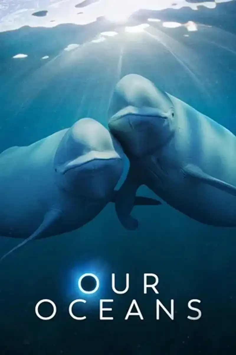 Download Our Oceans | 2024 | Season 1 | {Hindi-English-}| Netflix Original Web Series | 720p 1080p