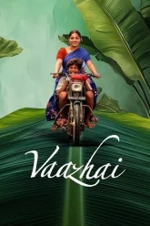 Download Vaazhai | 2024 | Hindi ORG.+Tamil | Full Movie | 480p 720p 1080p